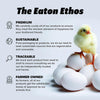 Eaton Pet and Pasture 10 Pack Nesting Pads for Laying Hens, 13 x 13 Inch - Image 5