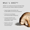 Quality of Life Premium Kinoko Platinum AHCC Herbal Supplement, 750mg per Capsule, for Imm - Image 3