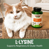 NOW Pet Health, L-Lysine Supplement, Powder, For Cats, 8-Ounce - Image 4