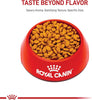 Royal Canin Feline Breed Nutrition Persian Adult Dry Cat Food, 7 lb Bag - Image 2