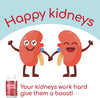 Health Plus Advanced Kidney Cleanse Support Supplement, 60 Capsules - Image 4