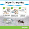 Syngenta Advion Ant Gel Station Insecticide, Ready-to-Use Gel Bait with The Active Ingredi - Image 4