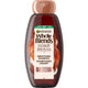 Garnier Whole Blends Shampoo with Coconut Oil & Cocoa Butter, 12.5 Fl Oz