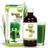 Basic Ayurveda Wheatgrass Sugar Free Juice | 16.23 Fl Oz (480ml) | Chlorophyll-Rich Plant-Based Wellness Drink | Supports Digestion & Energy | No Added Sugar | Gluten-Free, Non-GMO & Vegan
