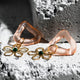 Charming Charlie Gold Open Flower Earrings - One Size, 8mm, Gilded Finish