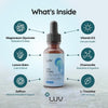 LUV Zen Drops: Anxiety and Stress Support Drops with Magnesium Glycinate, Vitamin D3, Lemo - Image 2