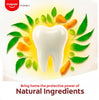 Colgate Swarna Vedshakti - 200g (Pack of 3) - Image 3