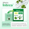 Make P:REM INTECA Soothing Cream, Advanced CICA Cream, 2.70 fl.oz. (80mL) - Personal Care - Image 4