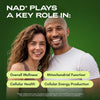 Cata-Kor Liposomal NAD Resveratrol Supplement – NMN Supplement Alternative – Third-Party T - Image 3