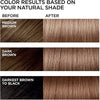 L'Oreal Paris Feria Multi-Faceted Shimmering Permanent Hair Color, B61 Downtown Brown (Hi- - Image 5
