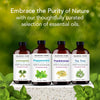 Majestic Pure Peppermint Essential Oil for Diffuser - 4 Fl Oz - Personal Care - Image 5