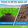 Syngenta Advion Ant Gel Station Insecticide, Ready-to-Use Gel Bait with The Active Ingredi - Image 5