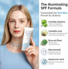Korean Sunscreen for Face & body， Madagascar Centella Sunscreen SPF 50+ ，mineral sunscreen - Image 5