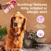 Douxo S3 Calm Itch Soothing Mousse for Dogs & Cats - Image 2