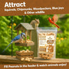 TRAILMARK NATURALS - 2 Pack of 5 Lb Bags (10 Pounds Total) - Raw Peanuts for Squirrels, Ra - Image 5