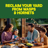 Raid Wasp and Hornet Killer, 17.5 OZ (Pack - 1) - Image 4