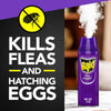 Raid Flea Flogger Plus Killer, Kills Fleas and Hatching Eggs, Pack of 3 - Image 2