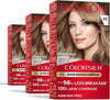 Revlon ColorSilk with Bond Repair Hair Color, 60 Dark Ash Blonde, 3pk - Image 1