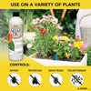 Harris Concentrated Neem Oil 100% Cold Pressed Filtered Oil Insecticide/Miticide/Fungicide - Image 2