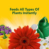 Miracle-Gro Liquid All Purpose Plant Food, Concentrate, 32 oz. - Image 2