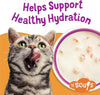 Purina Friskies Lil Soups Cat Food Topper, Shrimp, 8 Count, 1.2 oz Cups - Image 4