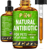 Dog Antibiotics for Infections, Kennel Cough, Wounds, UTIs, Allergies, Itching – Natural A - Image 1