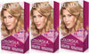 Revlon ColorSilk Luminista Haircolor, Burgundy Black - Image 4