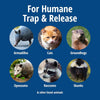 Havahart Large 1-Door Live Animal Trap for Raccoons, Cats, Bobcats, Beavers - Image 3