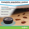 advion 68663 Arena 12ct Bag Cockroach Bait Station, White - Image 3