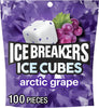 Ice BREAKERS Arctic Grape Sugar-Free Gum Pouch, 8.11 oz, 100 ct - Personal Care - Image 1