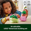 LEGO Botanicals Rocking Plants 11506 - Image 3