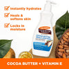 Palmer's Cocoa Butter Body Lotion Formula, Daily Skin Therapy (13.5 Fl Oz) - Image 2