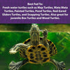Mazuri | Nutritionally Complete Aquatic Turtle Food | Freshwater Formula - 12 Ounce (12 oz - Image 3