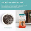 Himalaya Chyavanprash Jam - Herbal Superfood Spread for Immune Support and Promoting Stres - Image 4