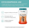 Himalaya Chyavanprash Jam - Herbal Superfood Spread for Immune Support and Promoting Stres - Image 2