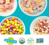 YumEarth Organic Variety Box - Jelly Beans, Giggles, Chewys, Sour Littles - Allergy Friend - Image 5