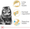 Royal Canin Feline Breed Nutrition Persian Adult Dry Cat Food, 7 lb Bag - Image 4
