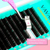 VAVALASH Cashmere Lashes - Premium Volume Eyelash Extensions 8-20MM Individual Silk Lashes - Image 4