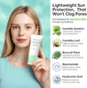 Korean Sunscreen for Face & Body – SPF 50+ Madagascar Centella Mineral Sunblock, Tinted Mo - Image 4