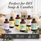 Handcraft Blends Spearmint Essential Oil 100% Pure Natural Aromatherapy