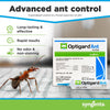 Syngenta - TRTD11568 - Optigard Ant Bait Gel Box - 4 Tubes w/ Plunger - 30g each tube, Whi - Image 2