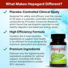 Hepagard Natural Liver Support Supplement with NAC, Vegan, Gluten-Free - Image 4