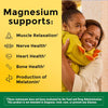 Nature Made High Absorption Magnesium Glycinate Gummies, 40 Count - Image 2