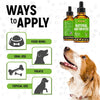 Dog Antibiotics for Infections, Kennel Cough, Wounds, UTIs, Allergies, Itching – Natural A - Image 5