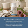 Eclectic Herb - Echinacea Goldenseal Capsules | Supports Immunity, Healthy Sinuses + Mucou - Image 4