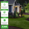 BASF Drive XLR8 Crabgrass Killer for Lawn & Turf, Post Emergent Grassy & Broadleaf Weed Co - Image 3