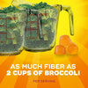 Metamucil Fiber Gummies for Adults, No Sugar Added Orange Flavor, 5g Prebiotic Plant Based - Image 3