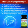 Hepagard Natural Liver Support Supplement with NAC, Vegan, Gluten-Free - Image 2