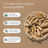 NaturaLife Labs Organic Ashwagandha 2100 mg per Serving – Full Spectrum Root Powder and St - Image 5