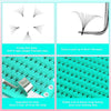 Eyelash Extensions 3D 4D 5D 6D 8D 9D 10D Thickness 0.07/0.1 C/D Curl Eyelashes Middle Stem - Image 4